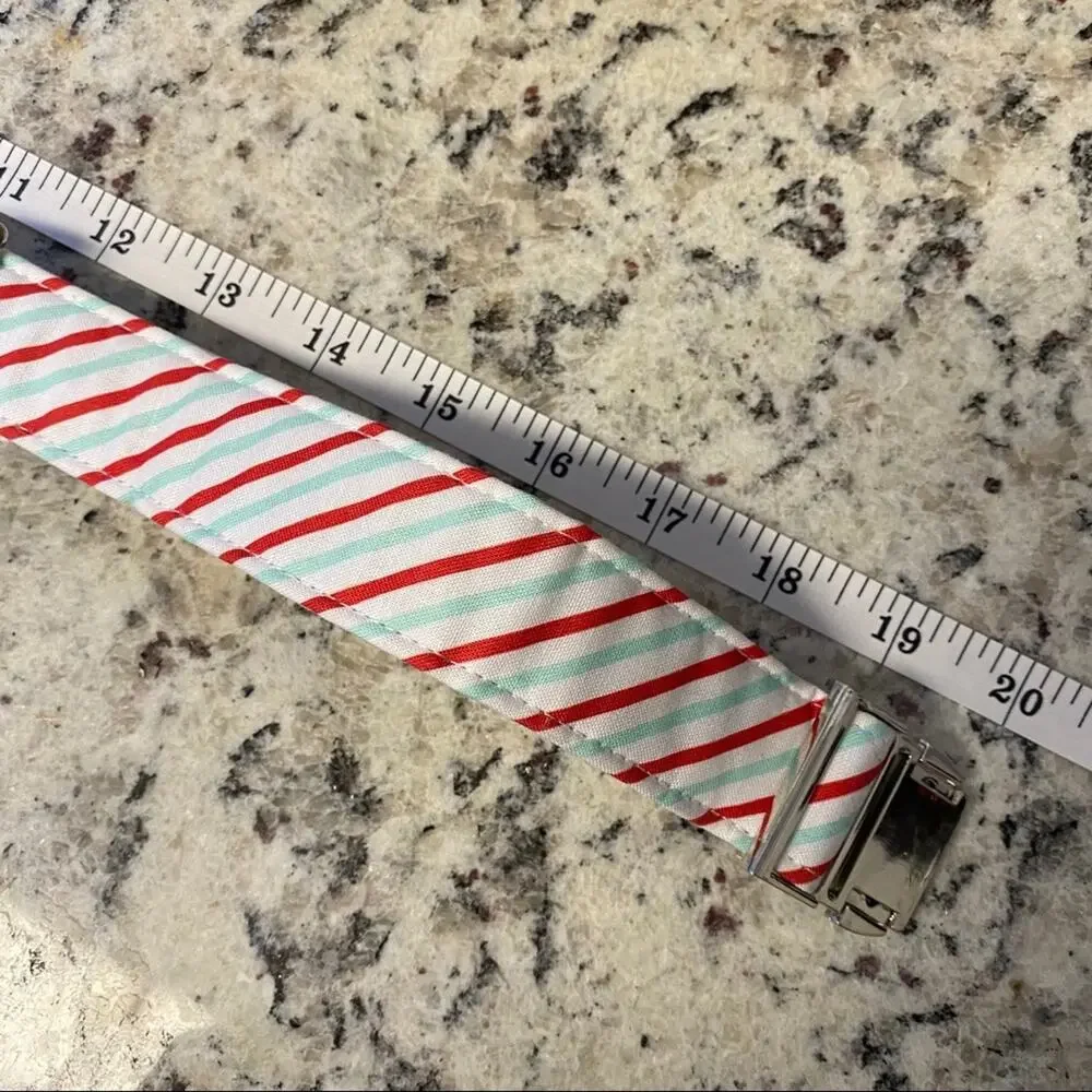 NWT • Red + Mint Striped Dog Bow + Collar